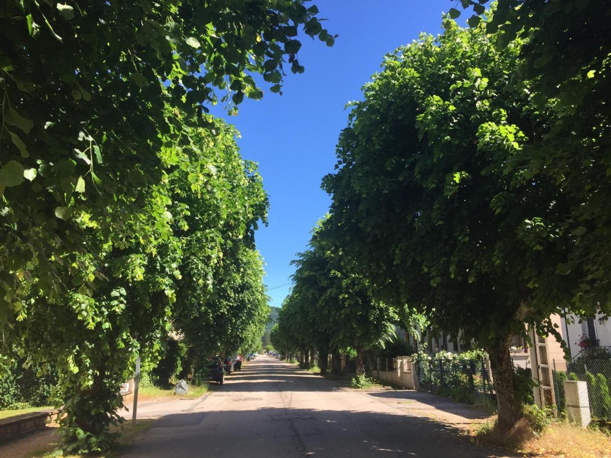 Le Gite De Brigitte ! Saint-Die-des-Vosges Buitenkant foto